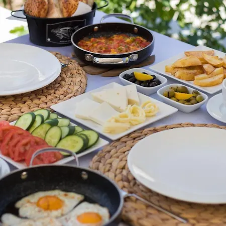 Kamelya Selimiye موجلا